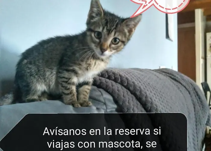 Casa Gueelito